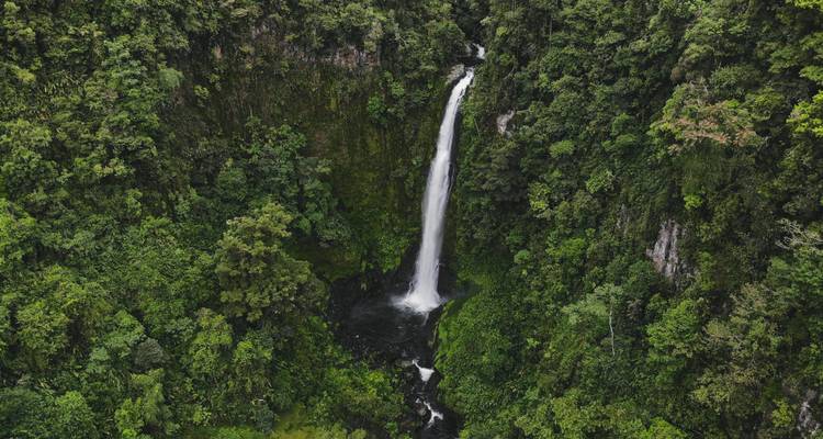 Grande cascade coulant vers une forêt verdoyante et luxuriante.