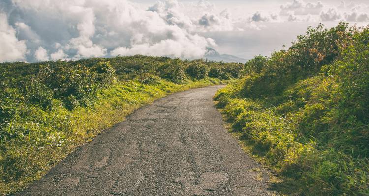 Pfad durch üppiges Grün mit Wolken im Hintergrund.