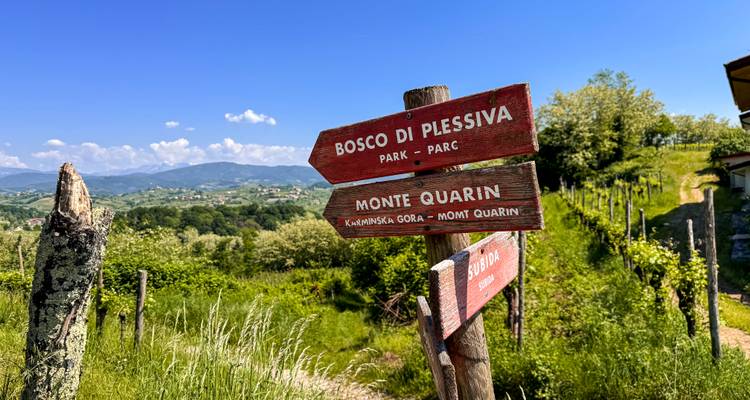 Señales de sendero de madera que apuntan a Monte Quarin y Bosco di Plessiva contra un paisaje rural brillante.