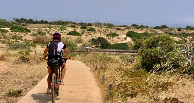 Cycliste sur un sentier à travers un terrain sec et herbeux.