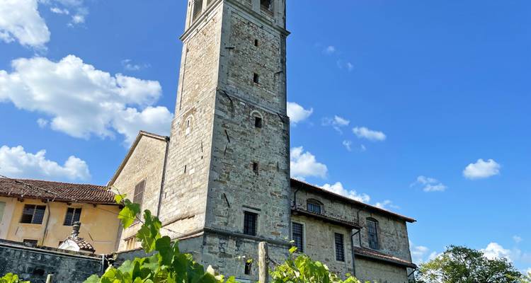 Ein Steinturm mit blauem Himmel und hohen grünen Bäumen.