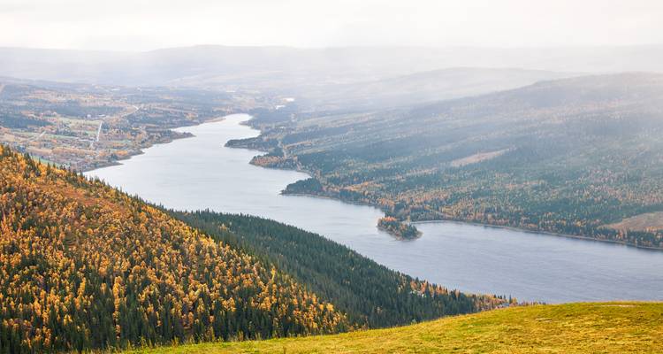 Aerial view of a river flowing through a forested valley.
