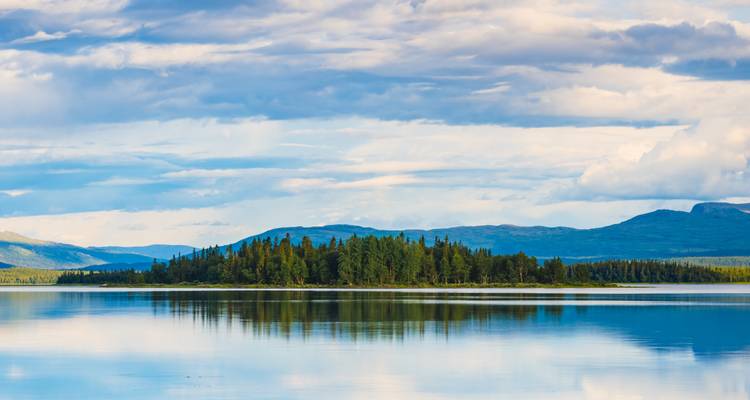 Serene lake view with reflection of trees.