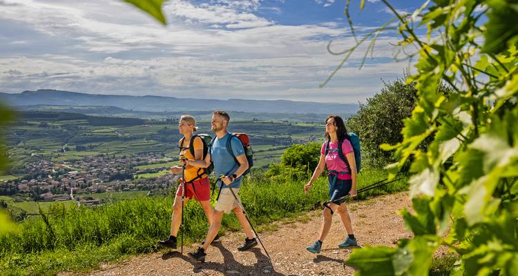 Trois randonneurs avec des bâtons de marche traversent des vignobles luxuriants avec des collines ondulantes et des villages au loin.