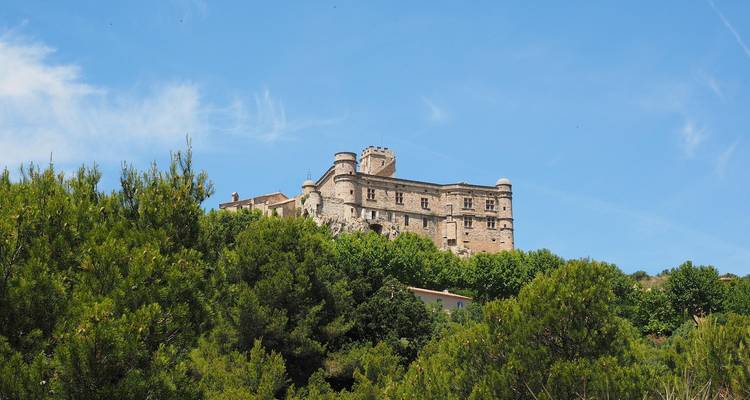 Castillo histórico en una colina con vegetación alrededor.