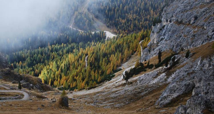 Valley with autumn-colored trees surrounded by rocky mountains.
