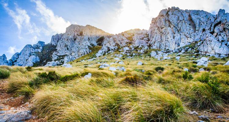 Sunlit rugged mountain terrain with grass and rocks.