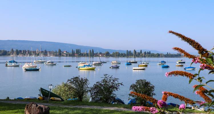 Dutzende kleiner Segelboote festgemacht an einem ruhigen See mit Blumen und fernem Stadtturm.