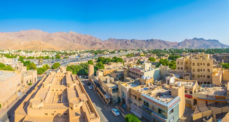 Panoramic view of a city with traditional architecture and mountains in the background.
