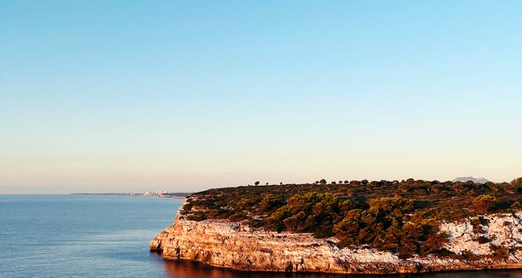 Une falaise côtière pittoresque avec la mer en arrière-plan.