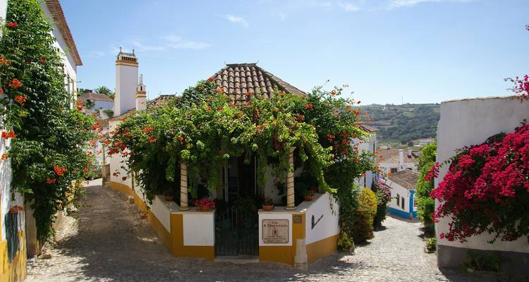 Charming village street lined with colorful flowers.