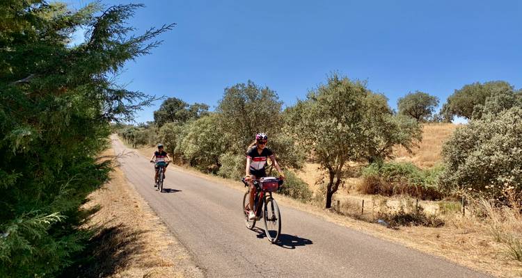 Deux cyclistes roulant sur une route rurale entourée d'arbres.