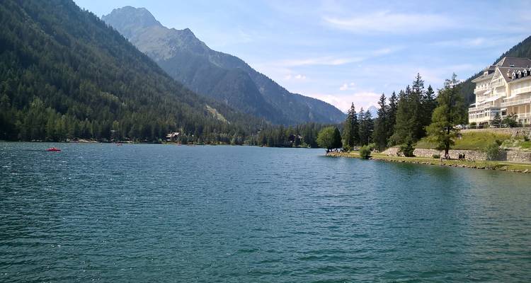 Seeblick umgeben von Kiefernwald und Bergen.