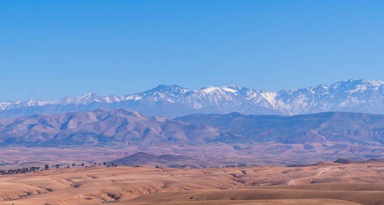 Fernblick auf schneebedeckte Bergkette über Wüstenlandschaft.