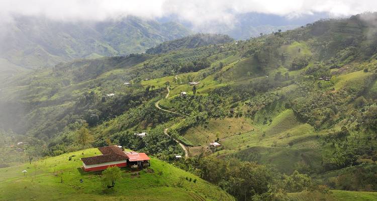 Üppiges grünes Tal mit verstreuten Häusern und bewölktem Himmel.