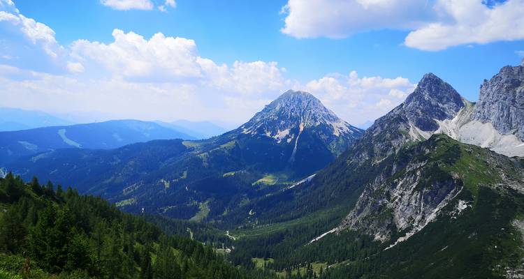 Bergketen onder een heldere blauwe hemel met weelderig groen.