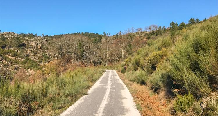 Narrow road passing through a verdant landscape.