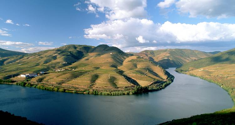 Scenic view of a river winding through terraced vineyards.