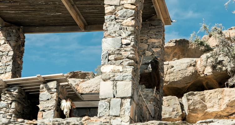 Een stenen constructie met geiten in een rotsachtig terrein.