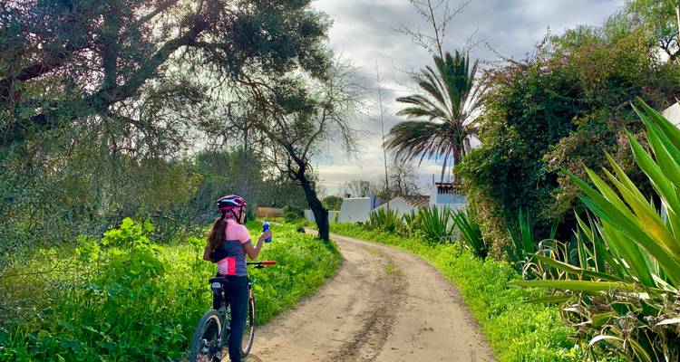 Cycliste tenant une boisson sur un chemin vert avec des palmiers.