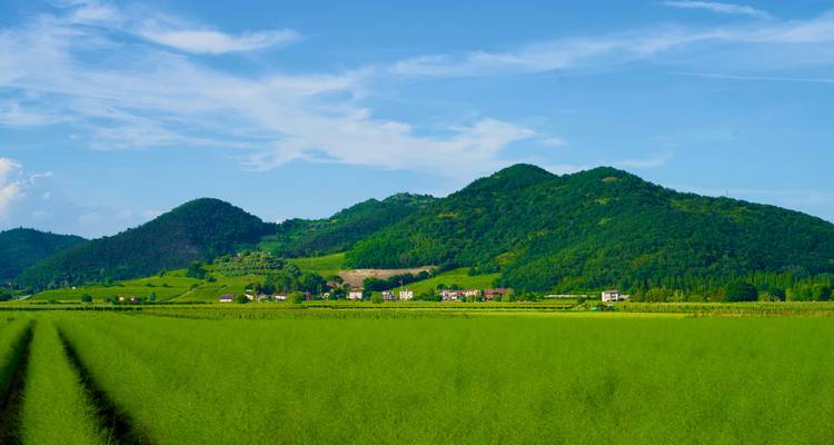 Weelderige groene velden met glooiende heuvels in de verte.