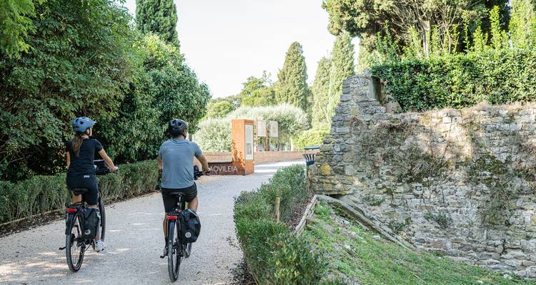 Cyclists on a scenic pathway surrounded by greenery.