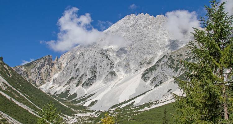 Indrukwekkende rotsberg omringd door dennenbomen in een vallei.