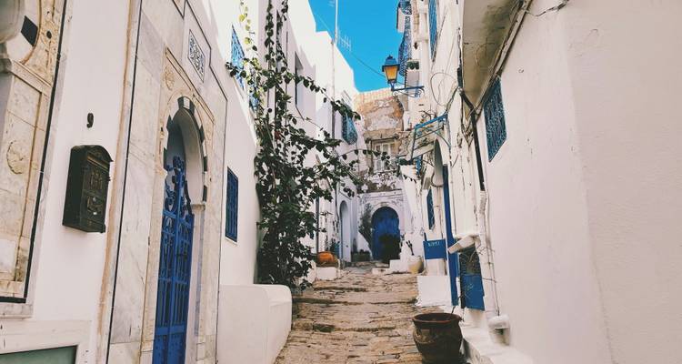 Ruelle pavée étroite avec bâtiments blanchis à la chaux et accents bleus.