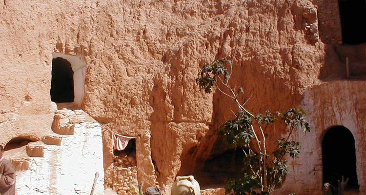 Paysage désertique avec une habitation en argile et une végétation clairsemée.