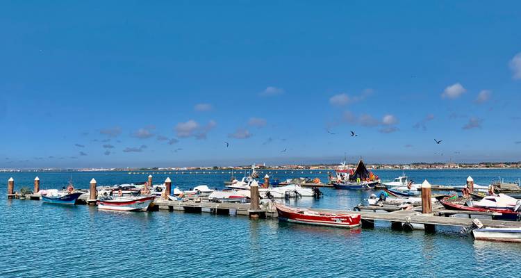Des bateaux amarrés dans un port par une journée ensoleillée.
