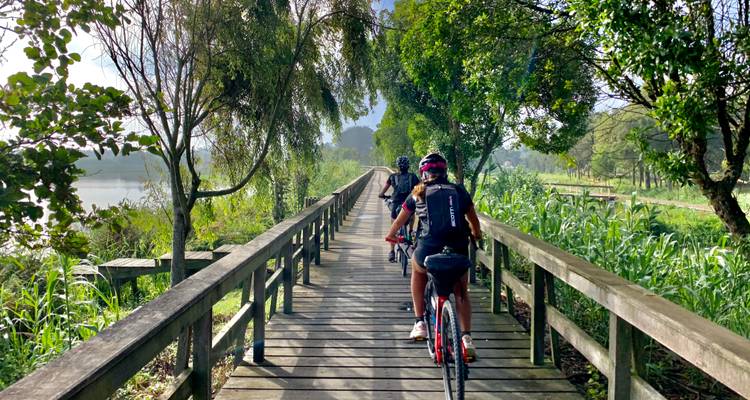Cyclistes roulant sur un pont en bois entouré par la nature.