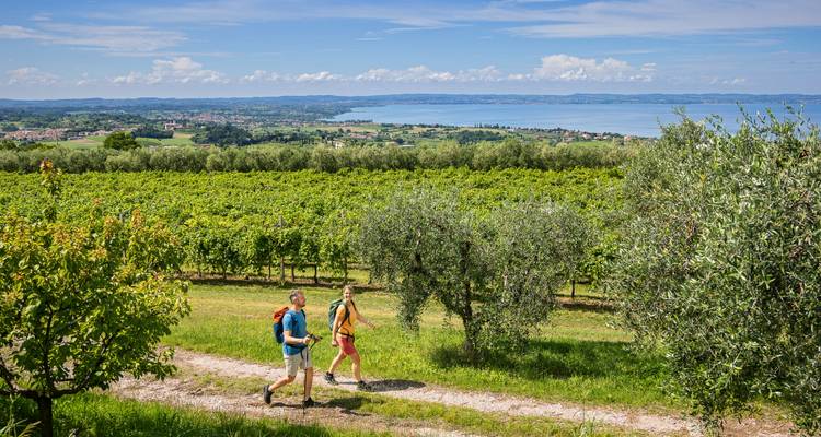 Paar wandert entlang eines Weinbergs mit Seeblick.