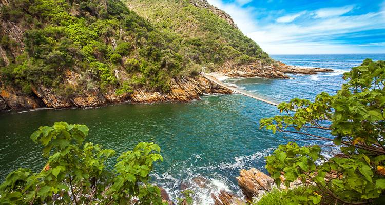 Paysage côtier avec un pont suspendu et une végétation luxuriante.
