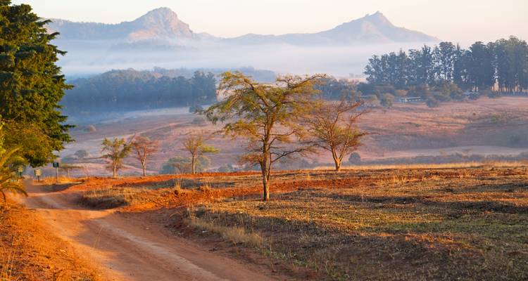 Route poussiéreuse avec des arbres clairsemés et des montagnes en arrière-plan.