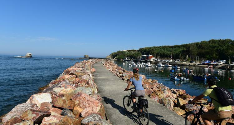 Des cyclistes sur un sentier près d'un port avec des bateaux.