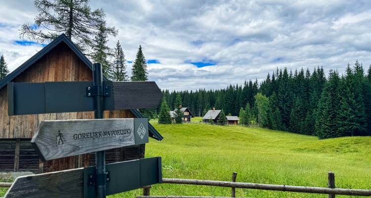 Une scène rurale rustique avec un poteau indicateur en bois et des cabanes dans une zone herbeuse entourée de forêt.