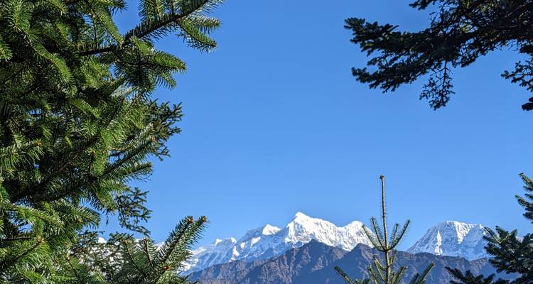 Des sommets montagneux enneigés encadrés par des arbres à feuilles persistantes sous un ciel bleu dégagé.