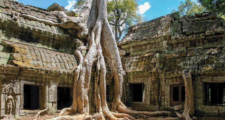 Ruines d'un temple ancien avec de grosses racines d'arbres qui poussent sur les structures.