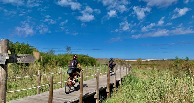 Fietsers op een houten pad door weelderig groen onder een heldere blauwe lucht.