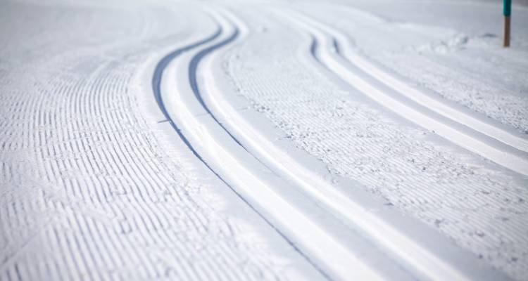Pistes damées pour le ski de fond sur neige.