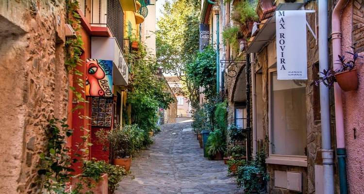 Rue étroite pittoresque avec des bâtiments colorés bordés de plantes vertes.