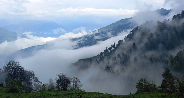 Mist die over een weelderig groen berglandschap rolt.