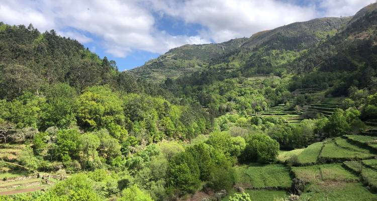 Paysage luxuriant en terrasses vertes sous un ciel partiellement nuageux.
