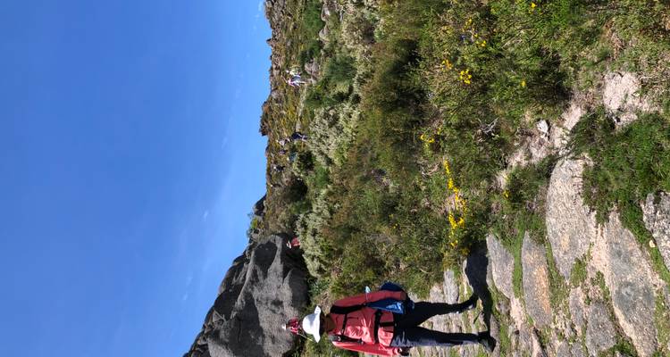 Des personnes marchent sur un sentier de montagne luxuriant et rocheux sous un ciel bleu clair.