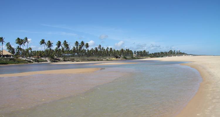 Lange strook zandig strand met palmbomen.