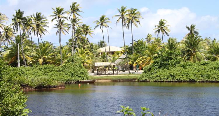 Palmbomen en een prieel bij een rustig water.