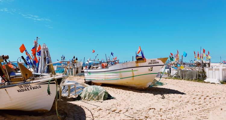 Bateaux de pêche échoués avec des drapeaux colorés dans une zone sablonneuse.