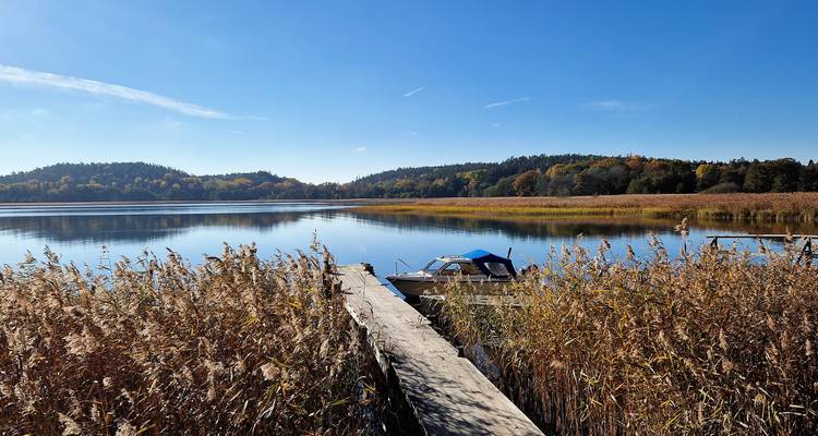 Serene lake scene with a small boat docked among reeds.