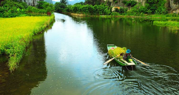 A person rowing a boat through a lush green waterway.