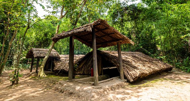 Traditional thatched huts set in a jungle environment.